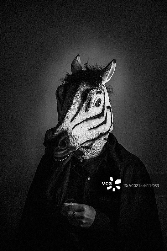 斑马头人身图片素材