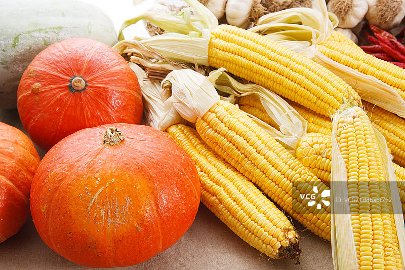 农作物丰收图片素材