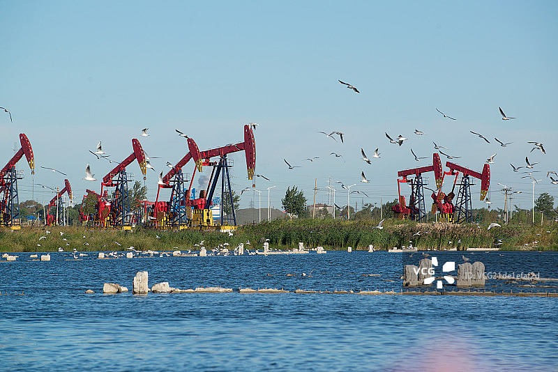 黑龙江省大庆油田图片素材
