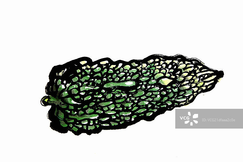 bitter gourd图片素材
