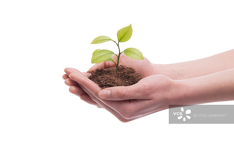 女人手捧小苗图片素材