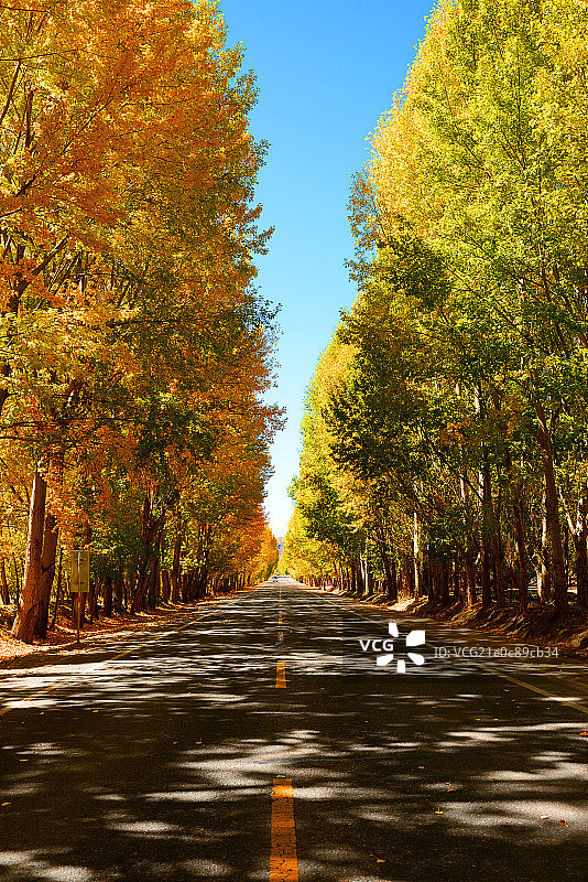 西部山路风景图片素材