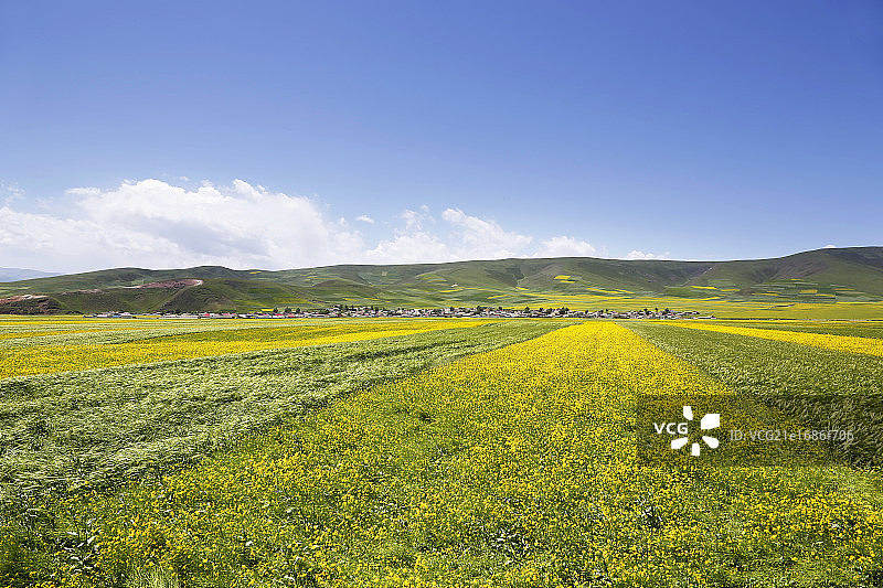 田园农业风光-农田乡村色彩图片素材