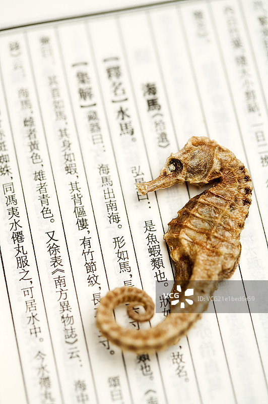 海马,中药,图片素材