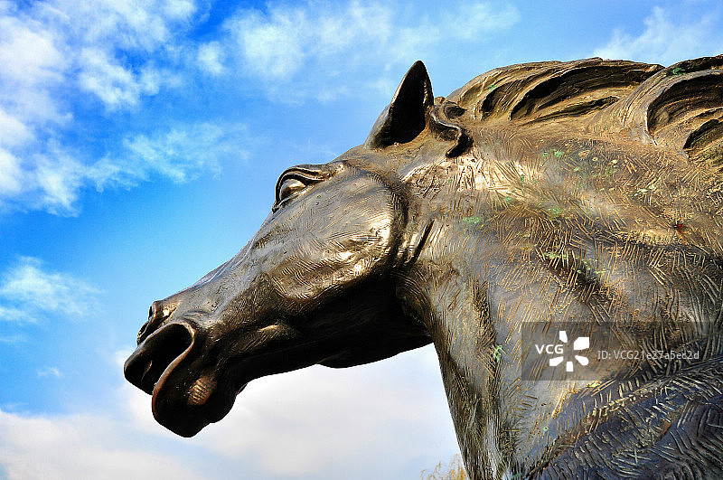 骏马雕像特写图片素材