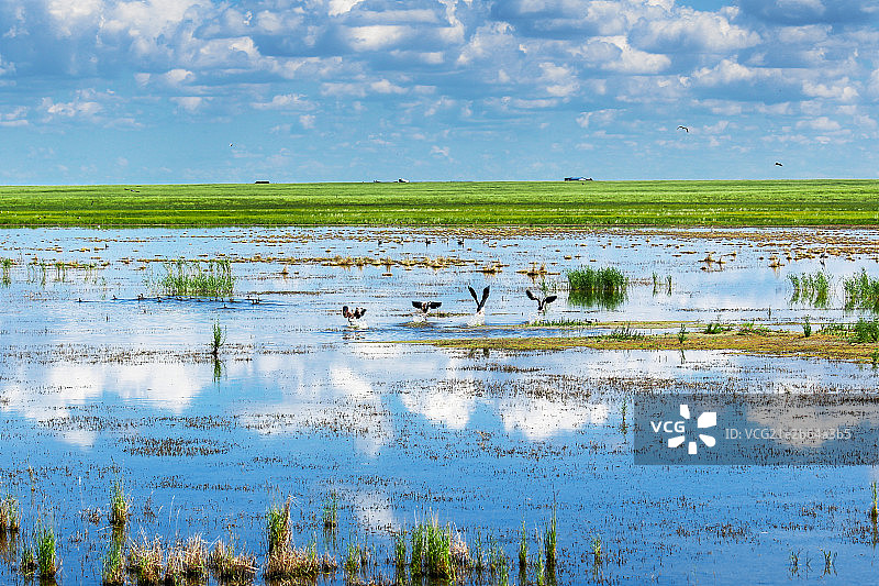 额尔古纳河流域湿地图片素材