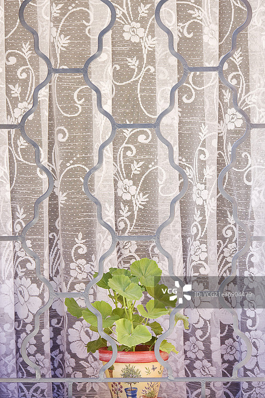 Planter in Window图片素材