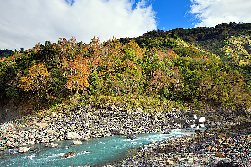 新竹尖石秀巒賞楓图片素材