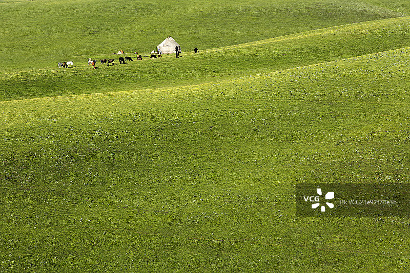 新疆琼库什台草原风光图片素材