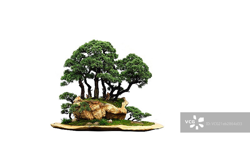 岭南盆景图片素材