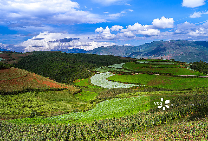 东川红土地图片素材