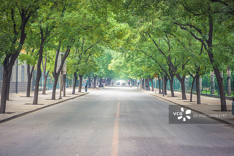 北京三里屯 绿树环绕的马路公路图片素材