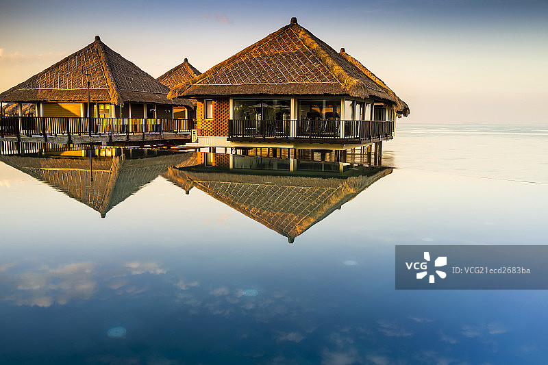 黄金棕榈水上屋图片素材