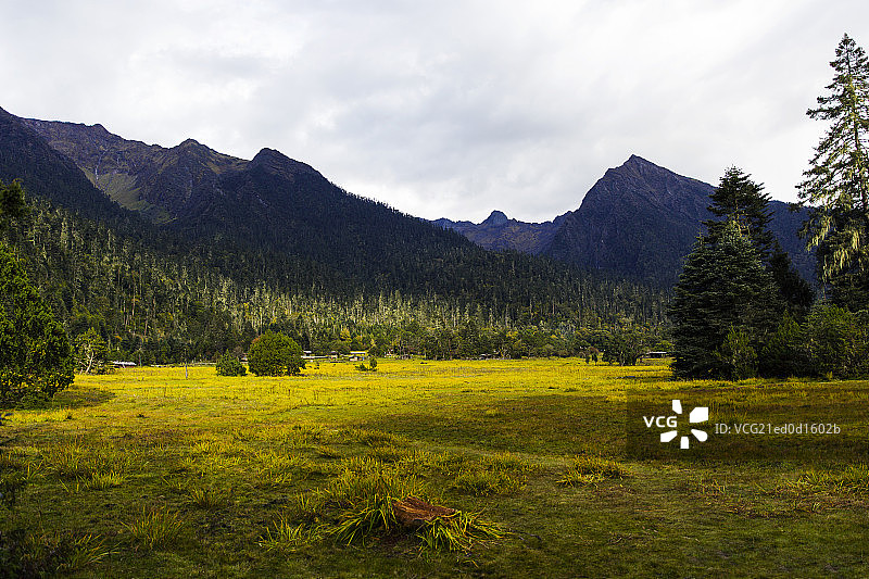 西藏南伊沟图片素材