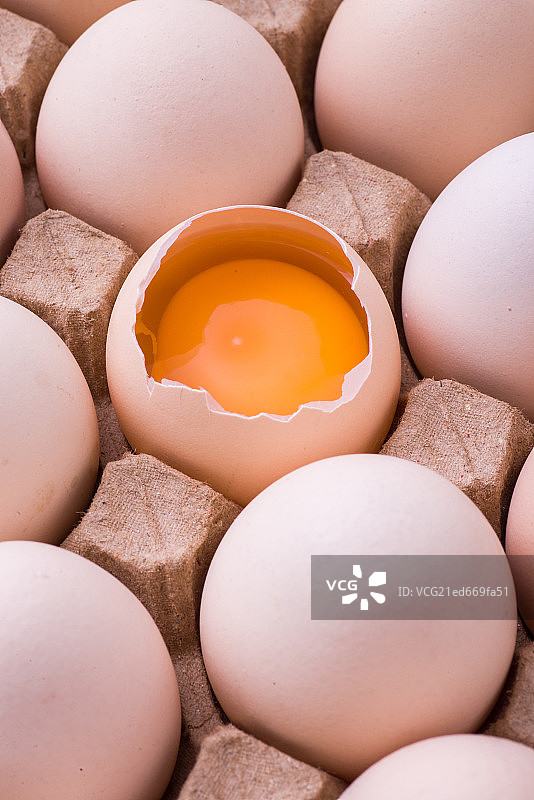 鸡蛋图片素材