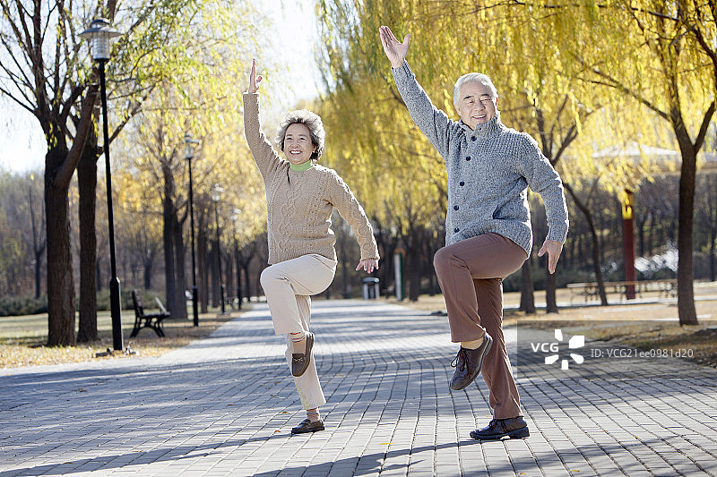 在公园晨练的老夫妻图片素材