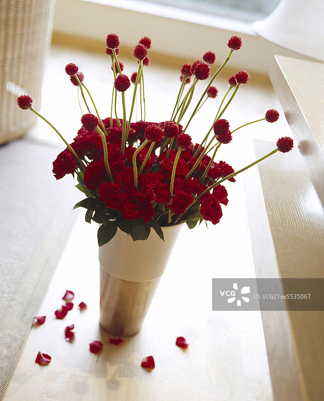 玫瑰花图片素材