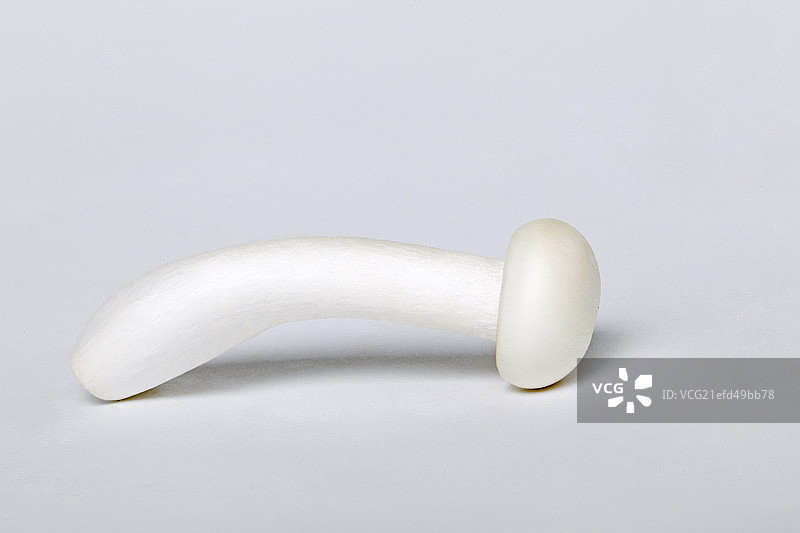 静物蘑菇图片素材