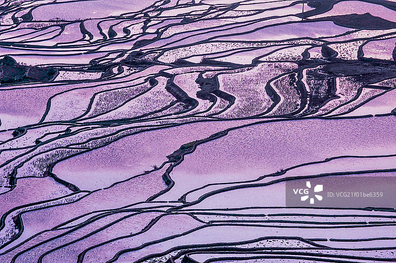 元阳梯田图片素材