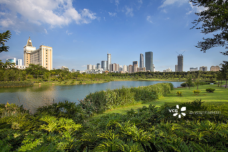 深圳中心公园图片素材