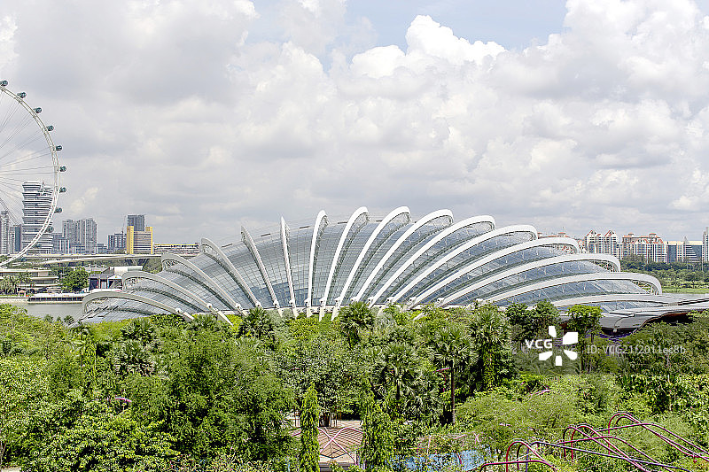 新加坡植物园图片素材