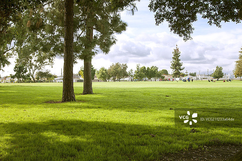 蓝天下茂盛的绿色植物图片素材