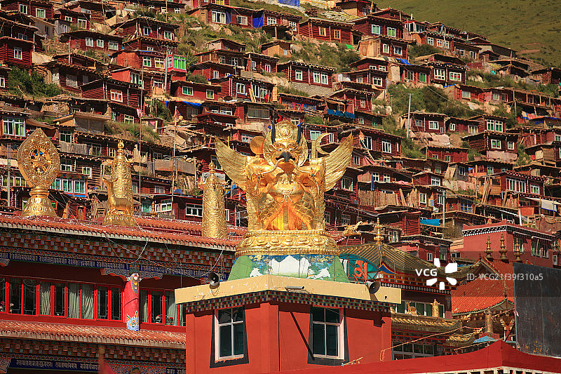 大鹏金翅鸟图片素材