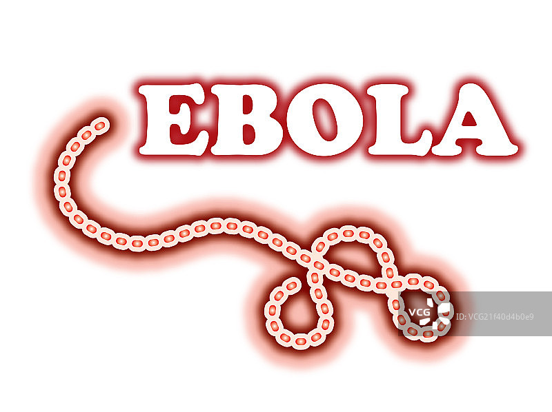 埃博拉病毒图片素材