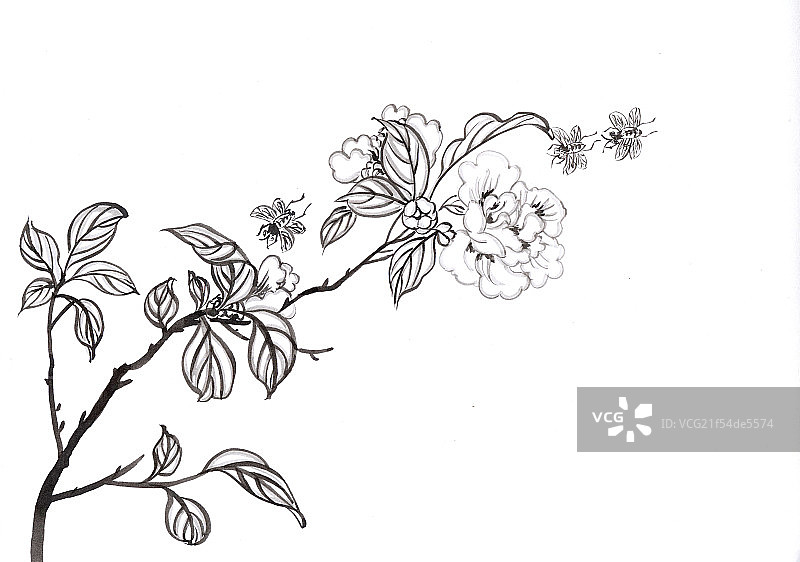 花与虫图片素材