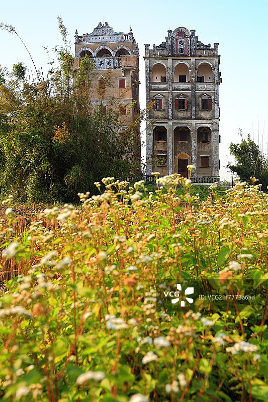 广东开平自力村碉楼群图片素材