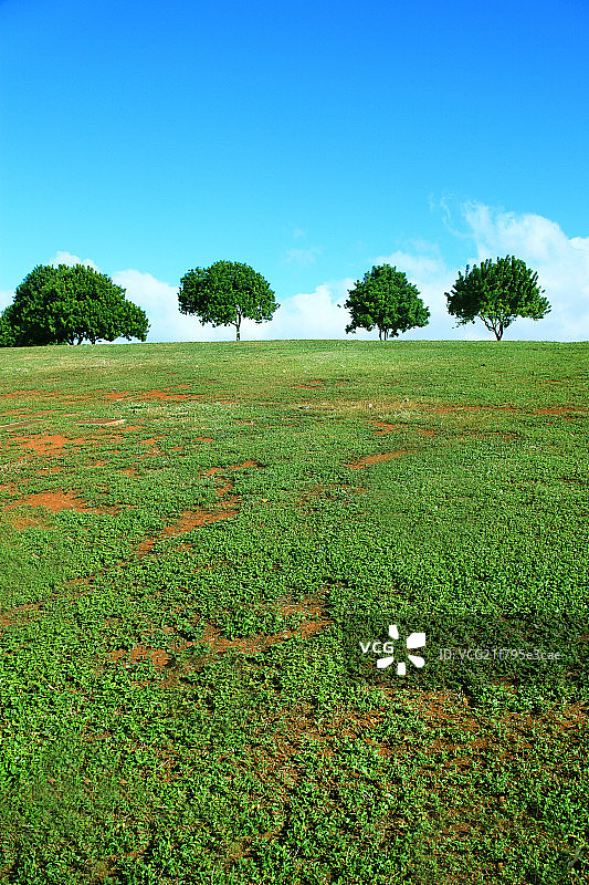 草坪图片素材
