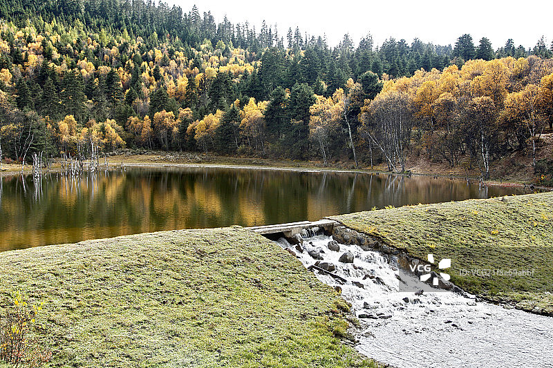 云南丽江普达措公园的碧塔海图片素材
