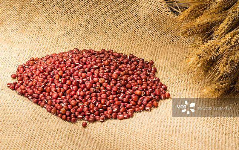 豆类大丰收图片素材