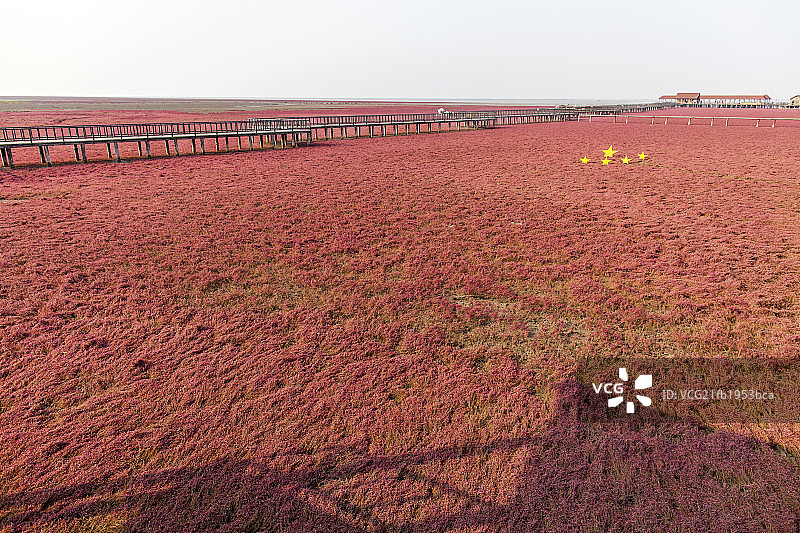 红色湿地图片素材