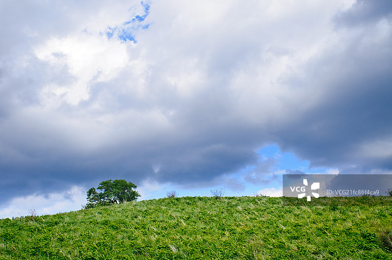 太行山之五岳寨云顶草原图片素材