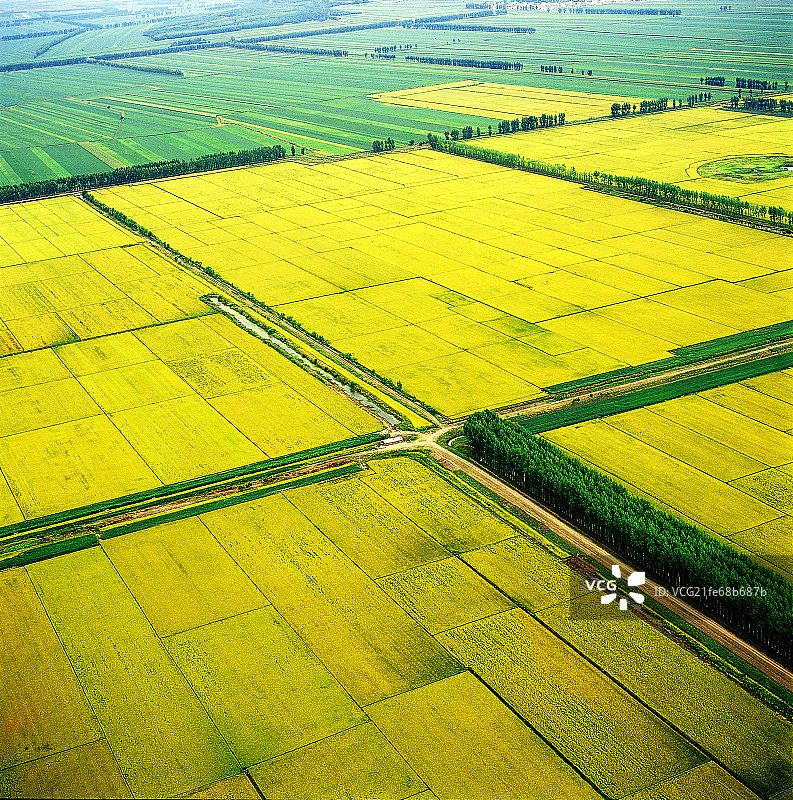 三江平原农田图片素材