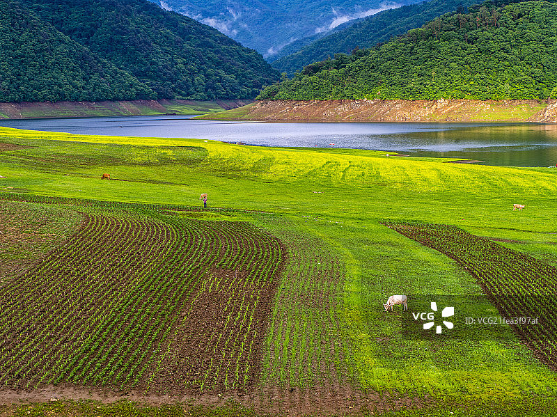 美丽村庄-绿江村图片素材