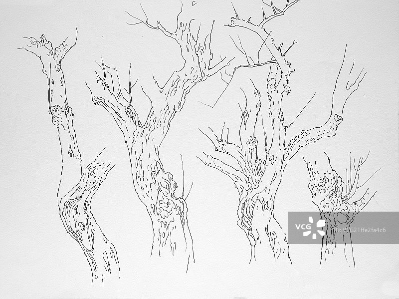 绘画手稿图片素材