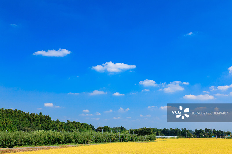 口木县,日本图片素材