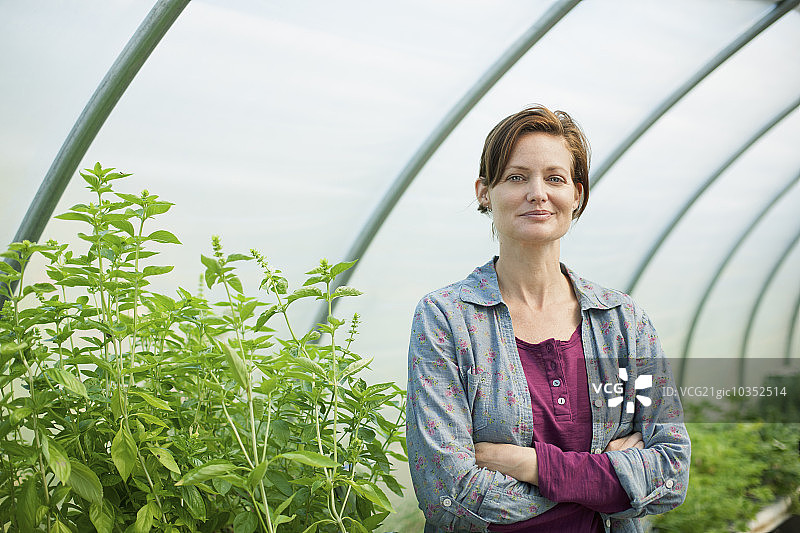在有机农场的温室或塑料大棚里工作的女人图片素材