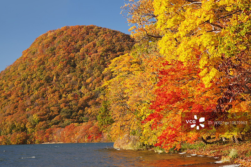 北海道洞爷湖的秋天图片素材