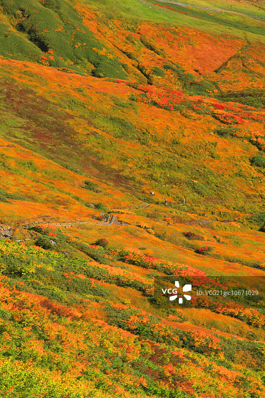 月山，山形县图片素材