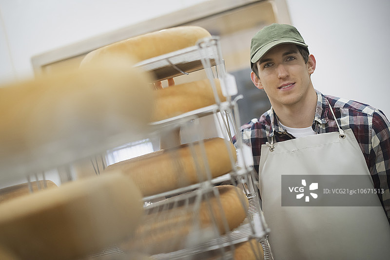 小型有机奶牛场：奶牛和山羊，奶酪和农产品图片素材