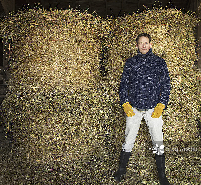 纽约州冷泉镇的冬季有机农场，一名男子在户外劳作图片素材