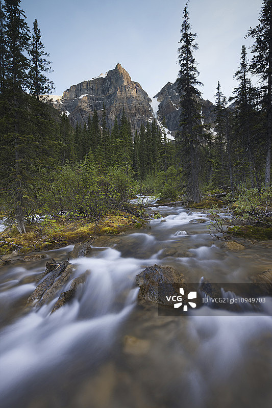 加拿大艾伯塔省班夫国家公园十峰谷的溪流图片素材