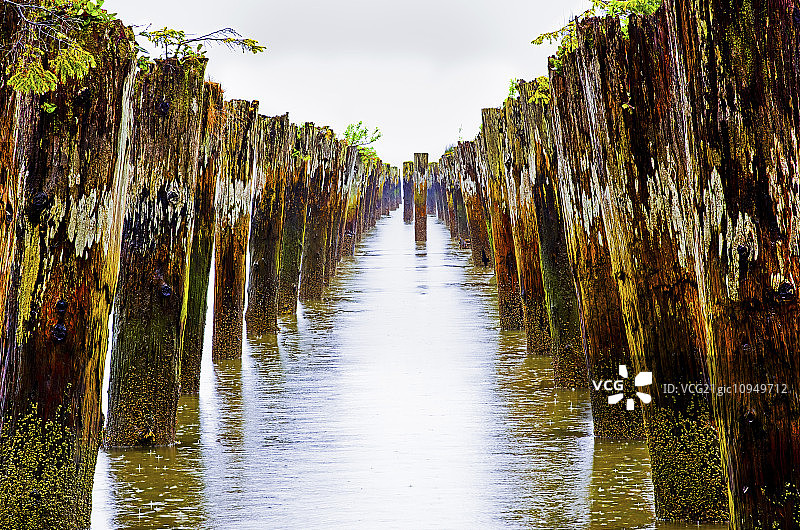美国俄勒冈州阿斯托利亚海岸浅水区的旧桩图片素材
