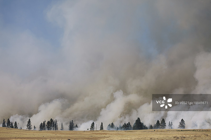 基蒂塔斯县埃伦斯堡附近的大型森林火灾，浓烟滚滚图片素材