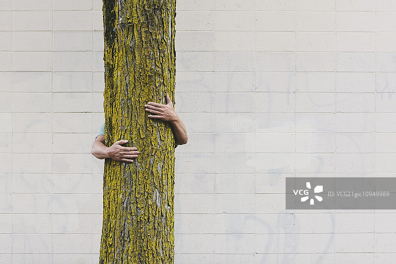 男人在西雅图城市街道拥抱树木图片素材