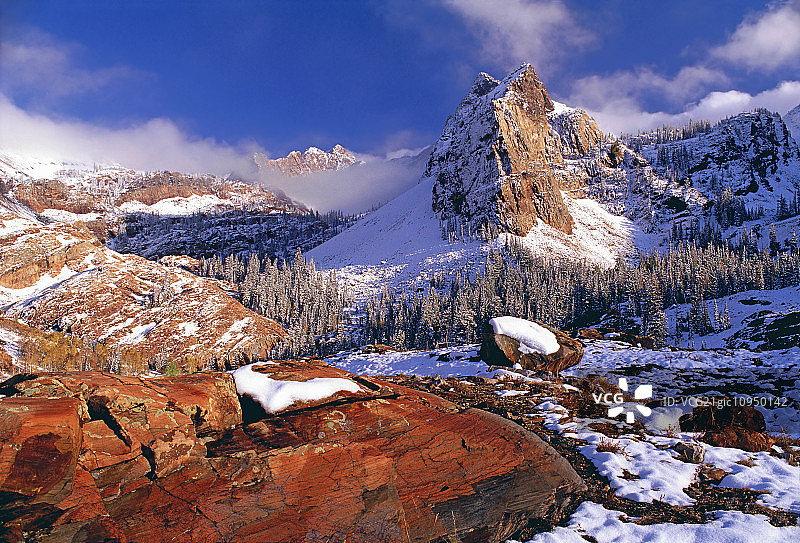 瓦萨奇山脉科顿伍德峡谷的冬季：松林雪景图片素材