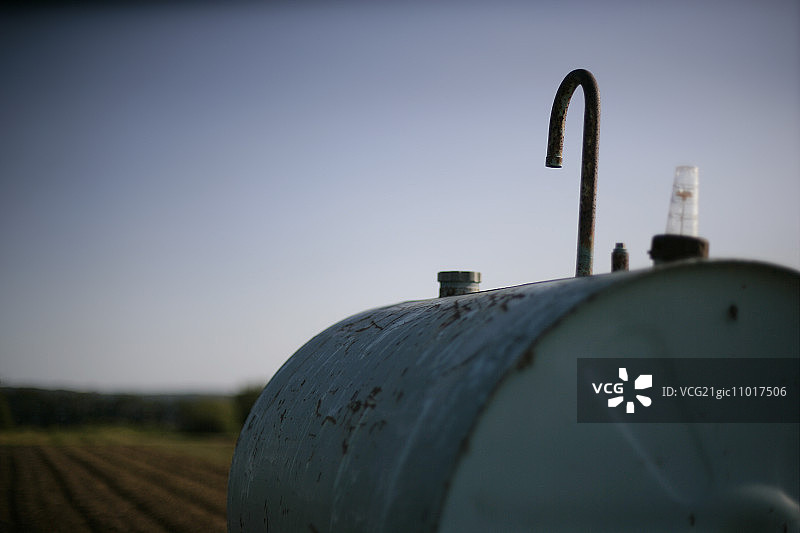 油柜图片素材